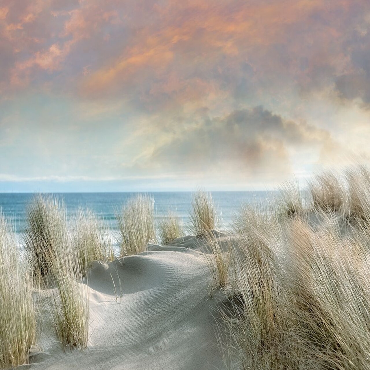 Windswept I Poster Print by Mike Calascibetta - Item # VARPDX40298